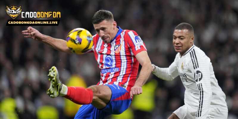 Bảng xếp hạng Cá độ bóng đá online có gì?