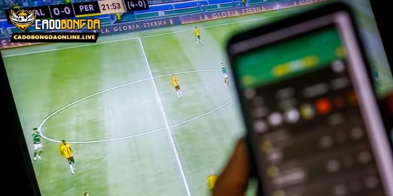 Bảo mật dữ liệu và quyền riêng tư chính sách bảo mật