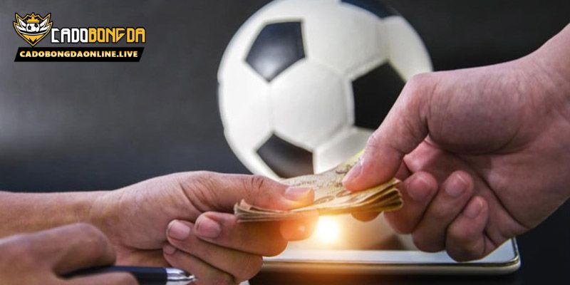 Mục đích của chính sách bảo mật Cá độ bóng đá online