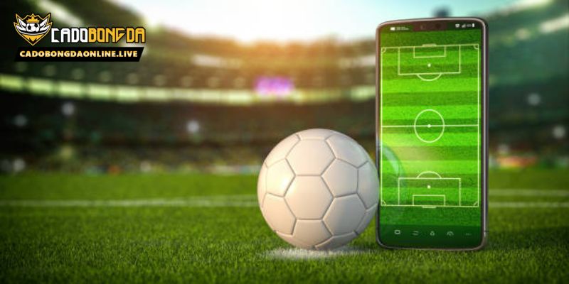 Nội dung điều khoản Cadobongdaonline.live