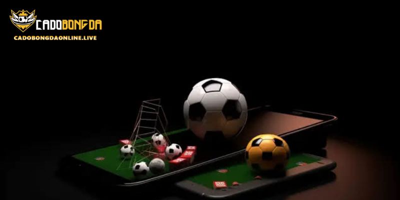 Chính sách điều khoản Cá độ bóng đá online