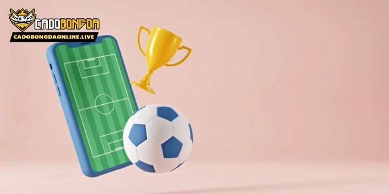 Giới thiệu điều khoản Cadobongdaonline.live