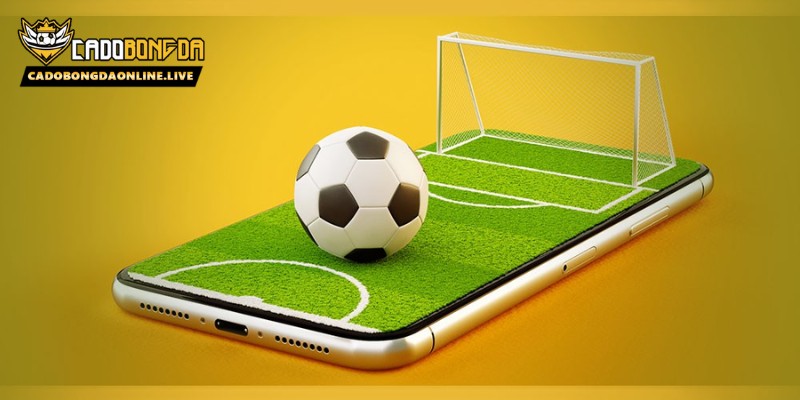 Kèo chấp nửa trái là gì?