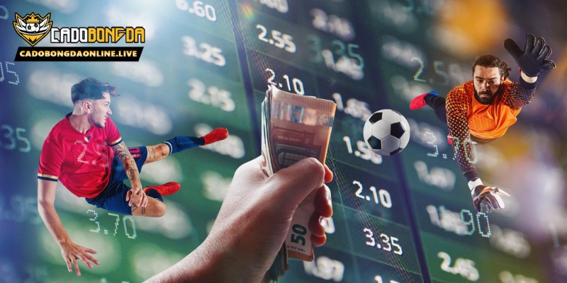 Các sai lầm thường gặp khi đánh kèo chấp nửa trái