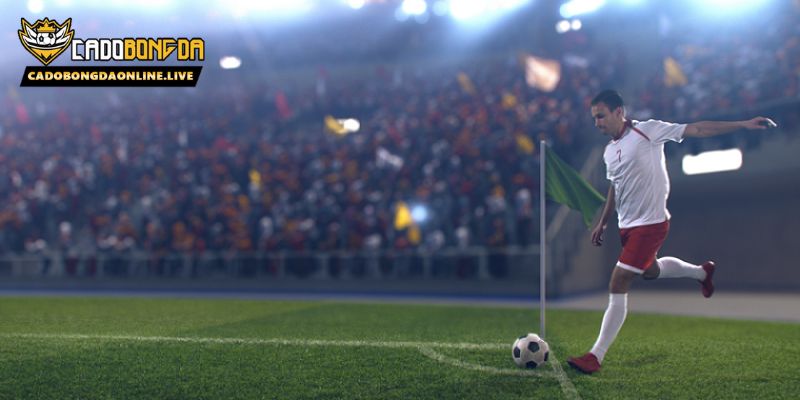 Kèo châu Á là gì? Hướng dẫn chi tiết cho người mới bắt đầu