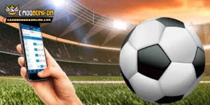 Các loại kèo rung phổ biến năm 2025