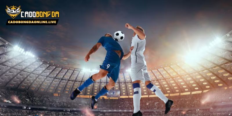 Hiểu rõ hơn về kết quả bóng đá - phần mềm của Cadobongdaonline