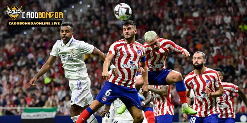 Tính năng nổi bật của phần mềm Kết quả bóng đá