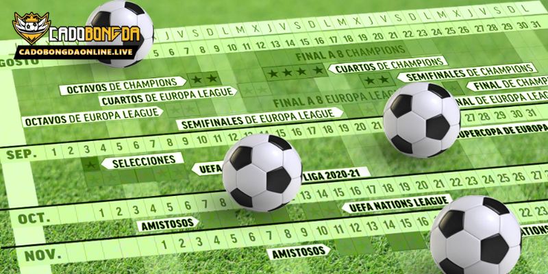 Lịch thi đấu cá độ bóng đá online