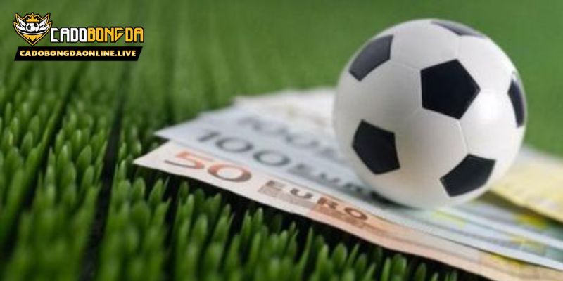 Liên hệ với chúng tôi nếu bạn cần trợ giúp khi cá độ bóng đá online