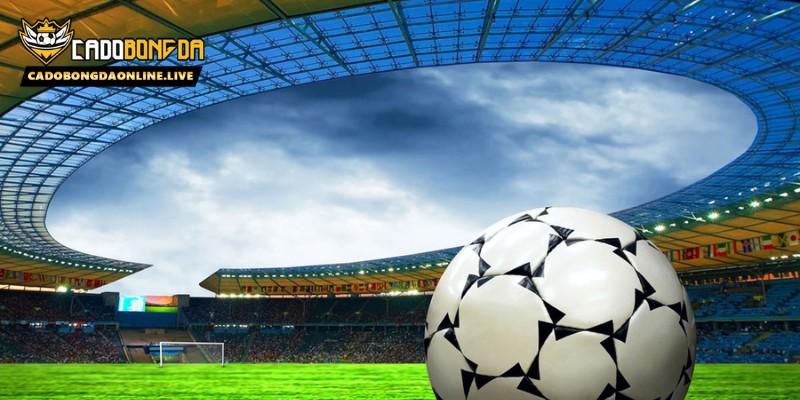 Lợi ích khi tham gia sảnh bóng đá