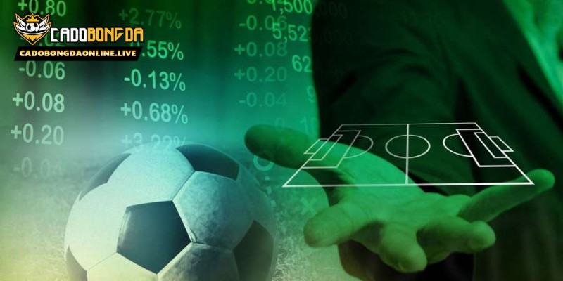 Bí quyết khai thác tỷ lệ kèo bóng đá hiệu quả