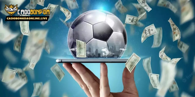 top-nha-cai-thumbnail